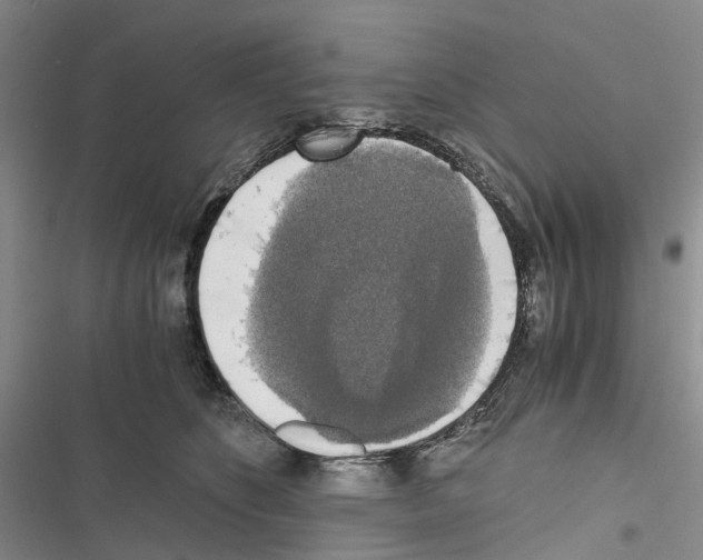 X0000116440516201001191534