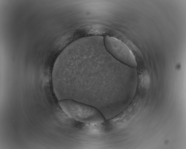 X0000116440517201001191534