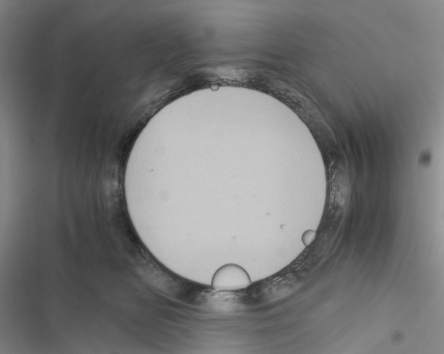 X0000116440518201001191534