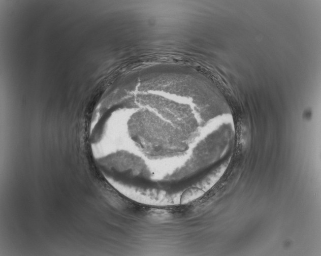 X0000116440519201001191534