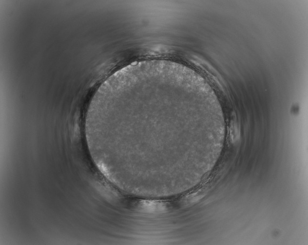 X0000116440520201001191534