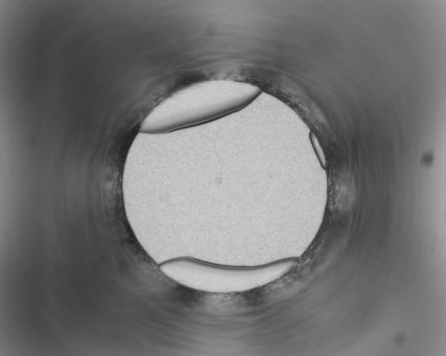 X0000116440521201001191534