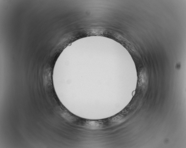 X0000116440522201001191534