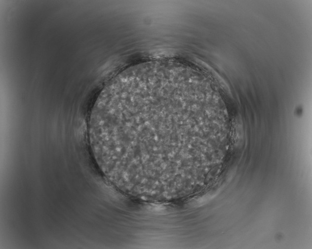 X0000116440523201001191534