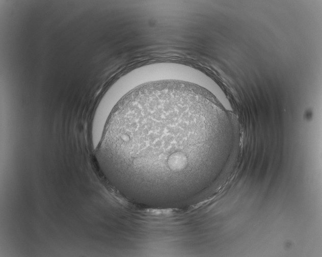 X0000116440524201001191534