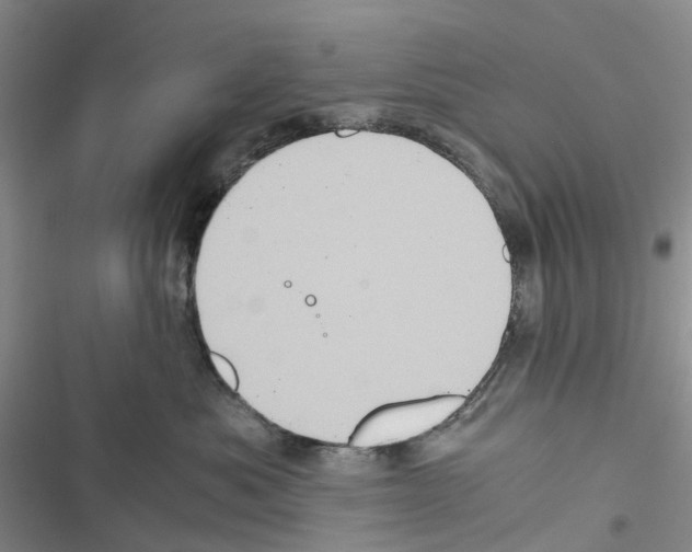 X0000116440525201001191534