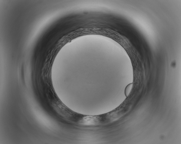 X0000116440526201001191534