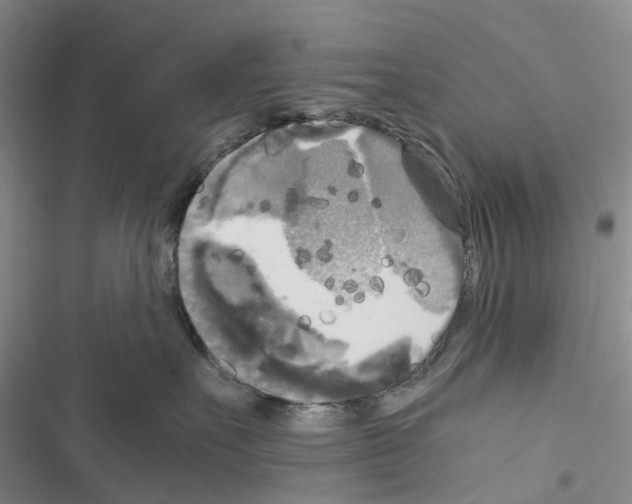 X0000116440527201001191534