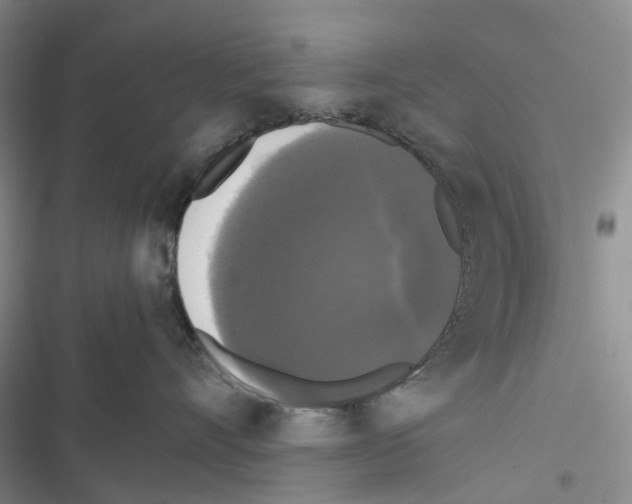 X0000116440528201001191534