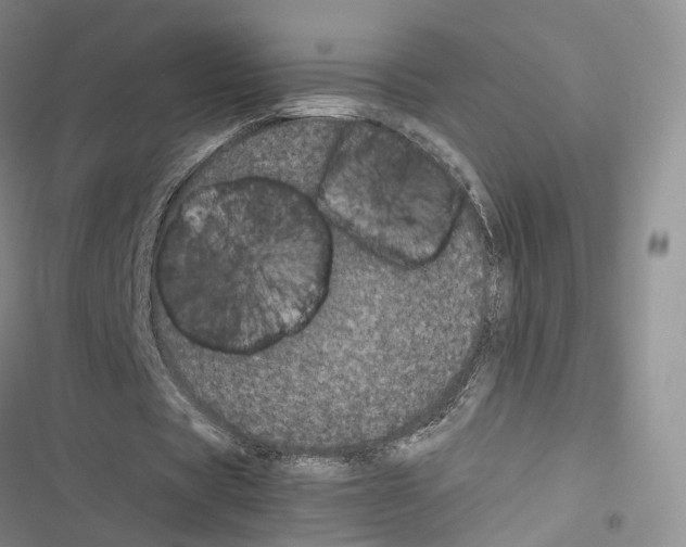 X0000116440529201001191534