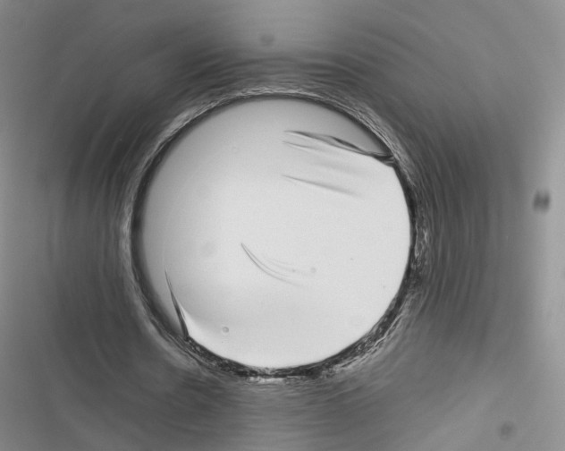 X0000116440530201001191534