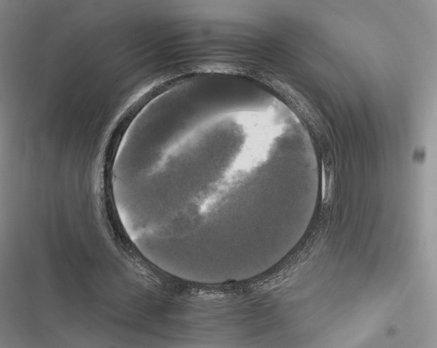 X0000116440531201001191534