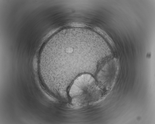 X0000116440533201001191534