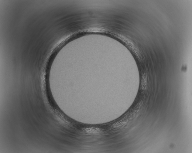 X0000116440535201001191534