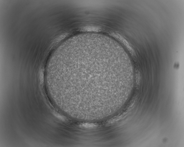 X0000116440537201001191534