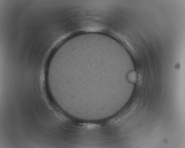 X0000116440539201001191534