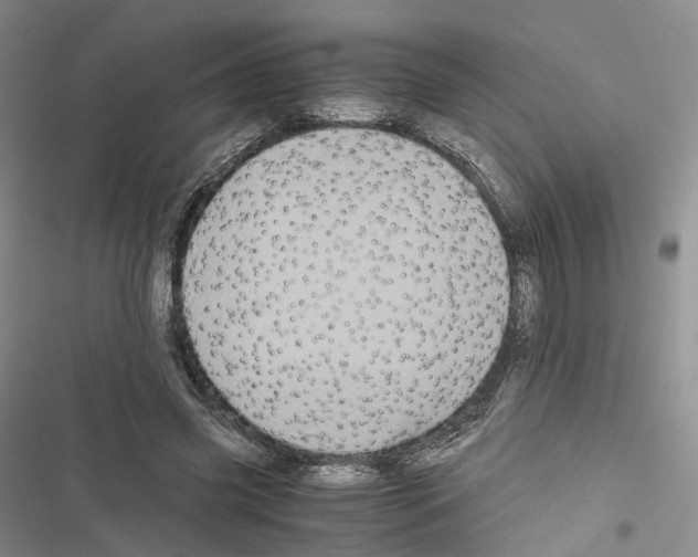 X0000116440541201001191534