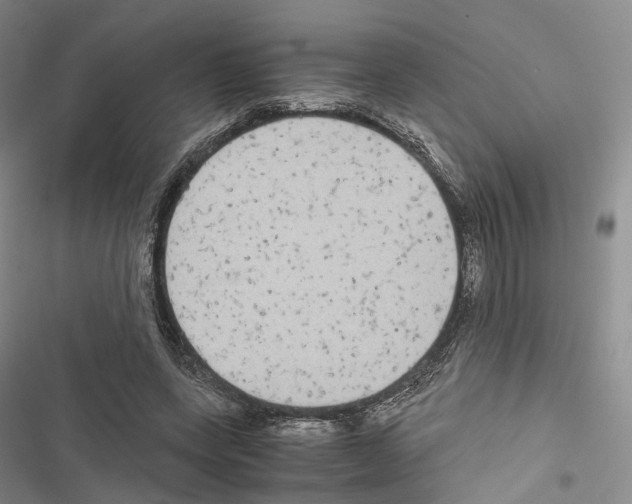 X0000116440543201001191534