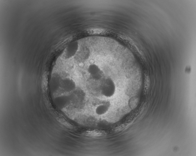 X0000116440545201001191534