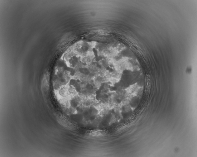 X0000116440550201001191534