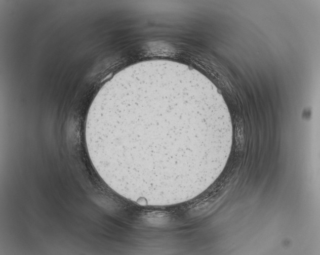 X0000116440551201001191534