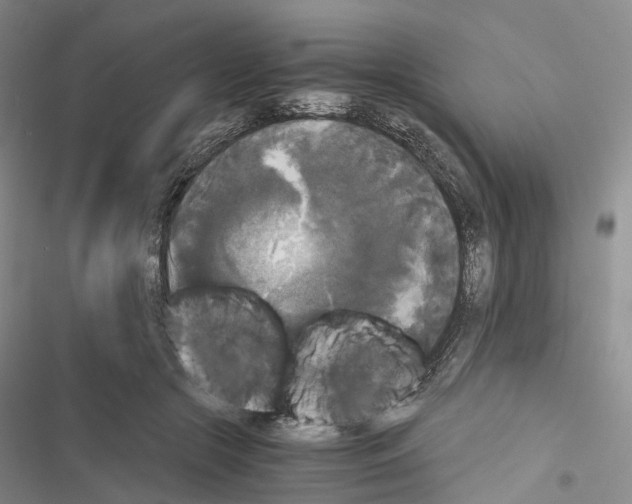 X0000116440553201001191534