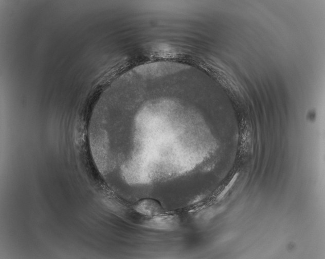 X0000116440555201001191534