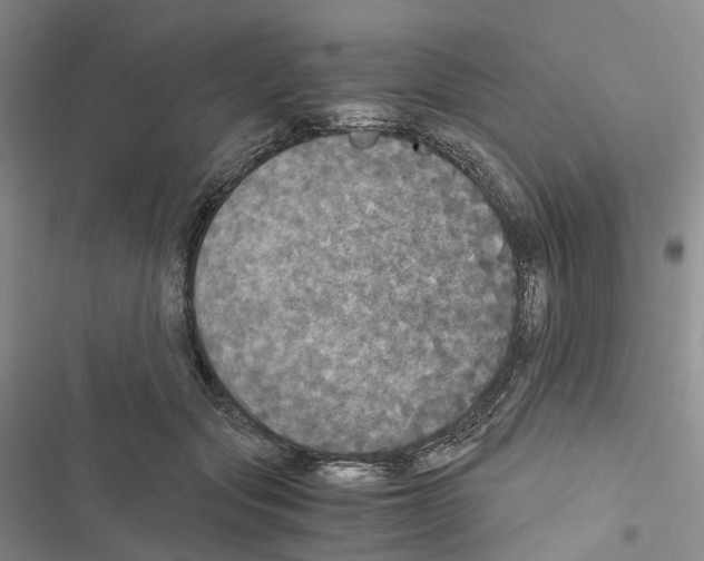 X0000116440557201001191534