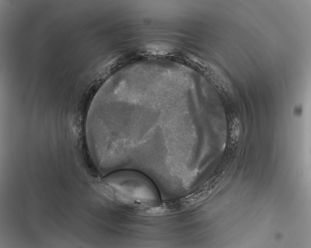 X0000116440559201001191534