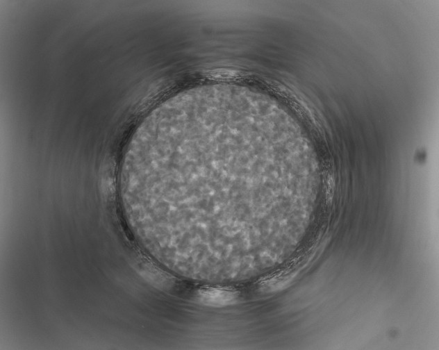 X0000116440561201001191534