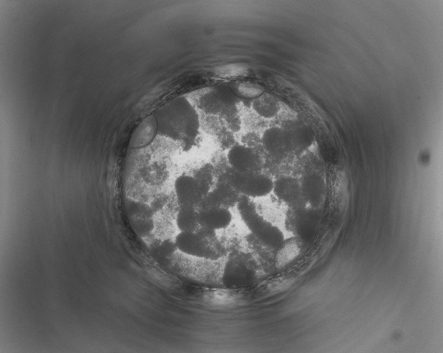 X0000116440565201001191534