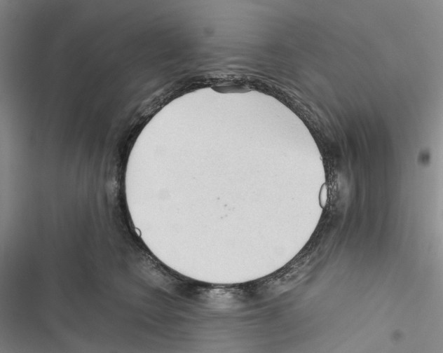 X0000116440566201001191534