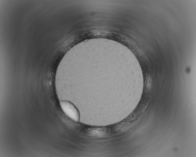 X0000116440567201001191534