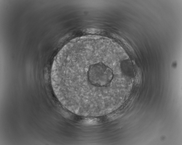 X0000116440569201001191534