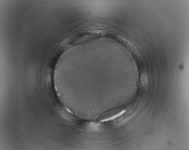 X0000116440570201001191534