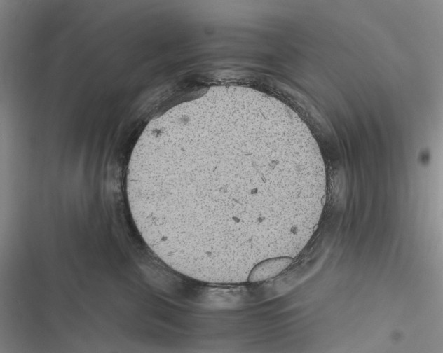 X0000116440571201001191534