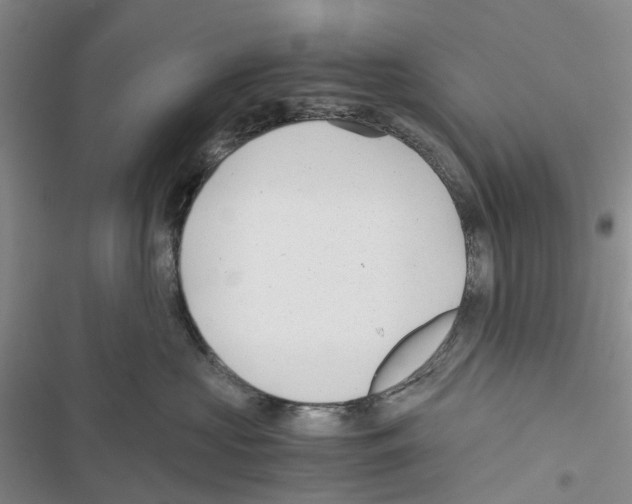 X0000116440573201001191534