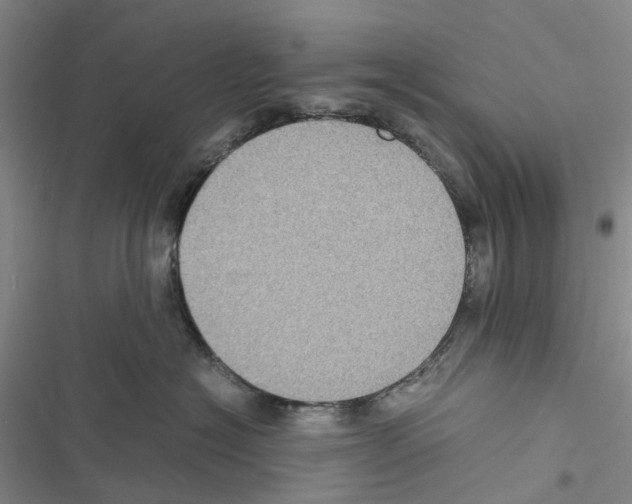 X0000116440574201001191534