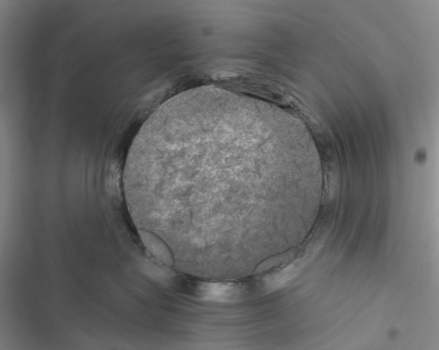 X0000116440575201001191534