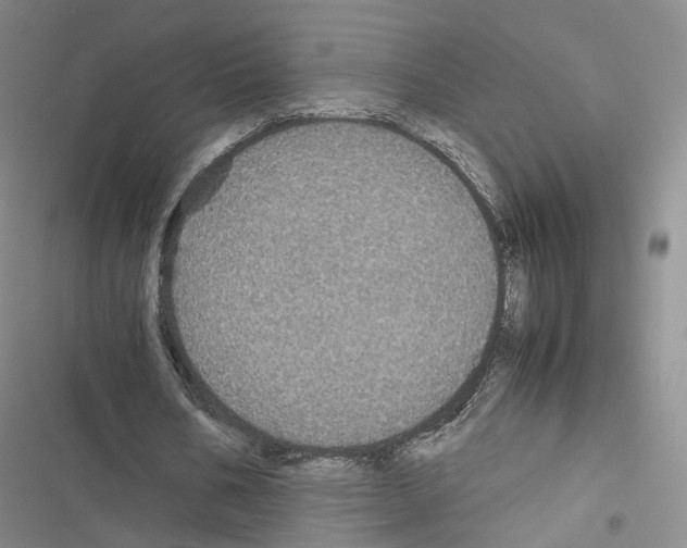 X0000116440578201001191534