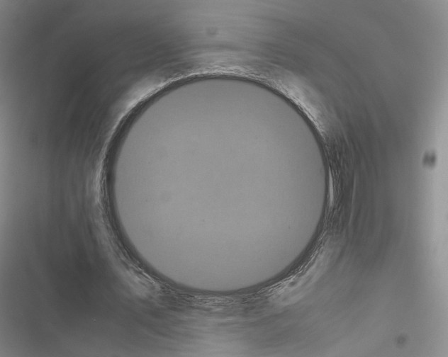 X0000116440579201001191534