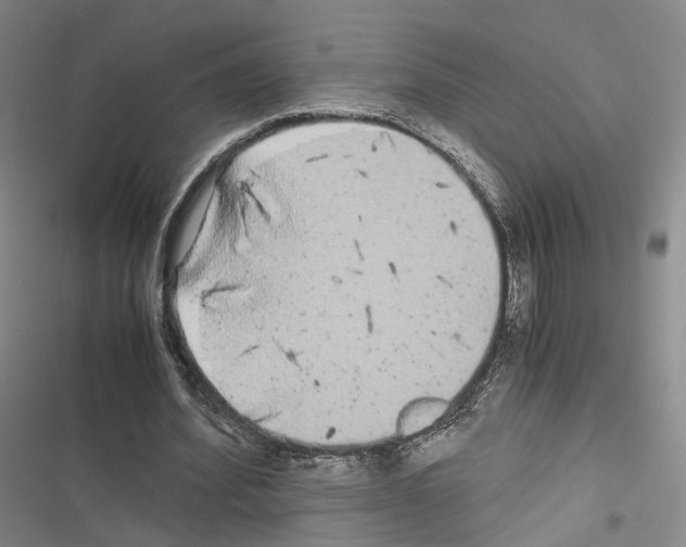 X0000116440580201001191533