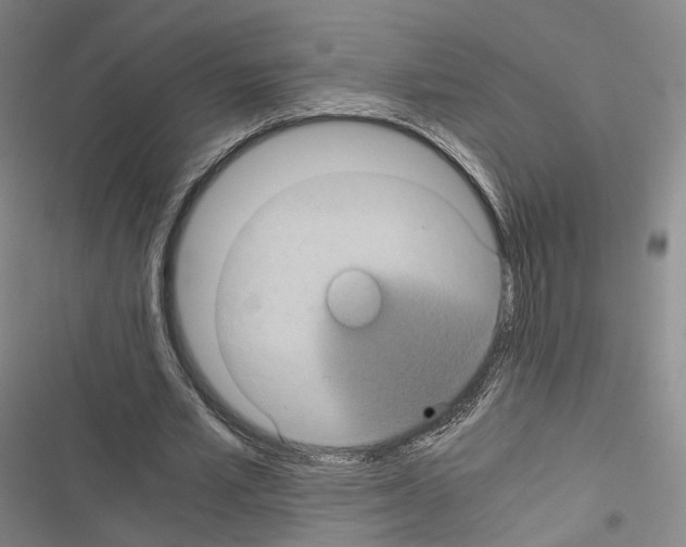 X0000116440581201001191533