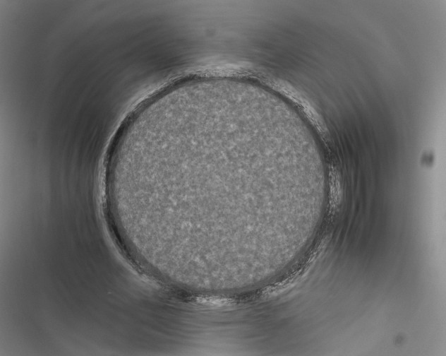 X0000116440582201001191533