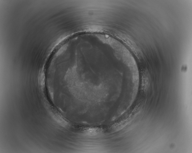 X0000116440584201001191533