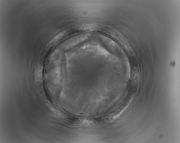 X0000116440585201001191533