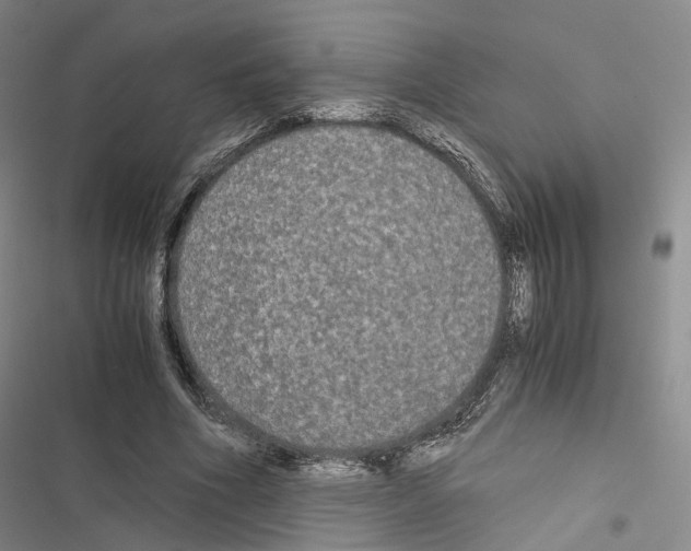 X0000116440586201001191533