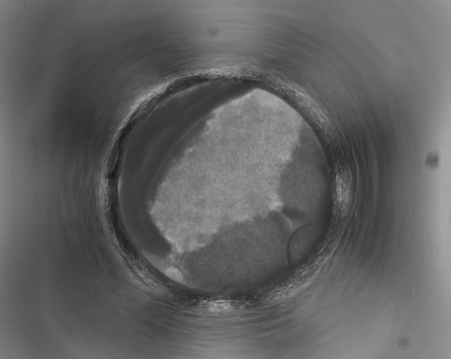 X0000116440588201001191533