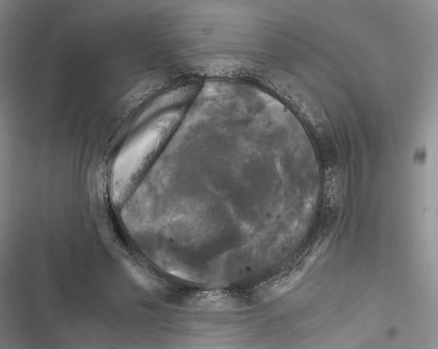 X0000116440589201001191533