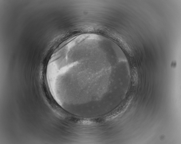 X0000116440590201001191533